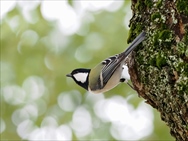 �V�W���E�J��