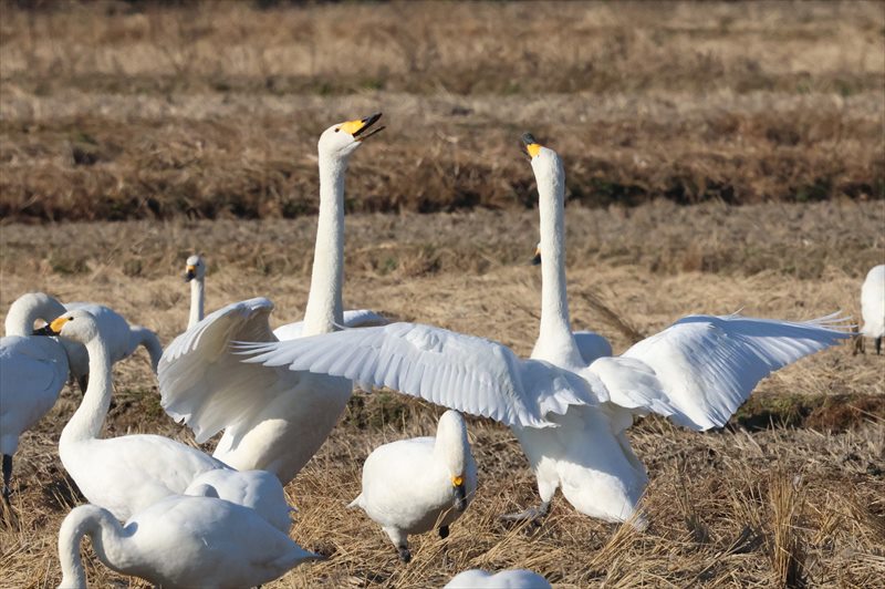 �I�I�n�N�`���E