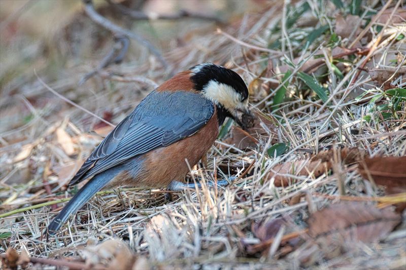 ���}�K��