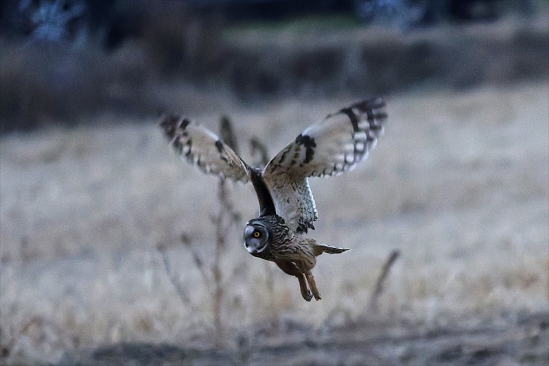 �R�~�~�Y�N