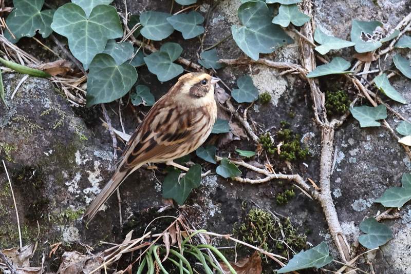 �~���}�z�I�W����