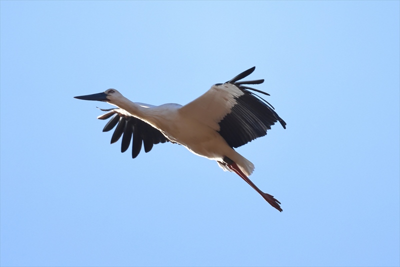 �R�E�m�g��