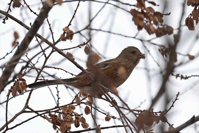 �x�j�}�V�R