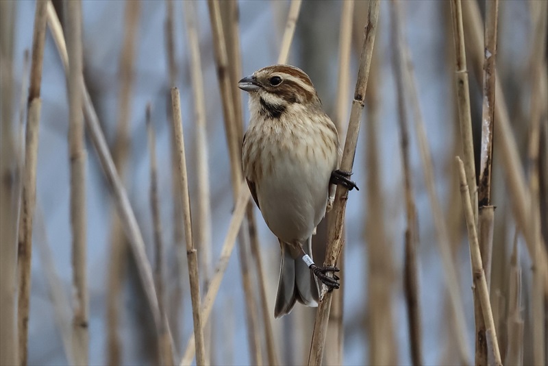 �I�I�W������