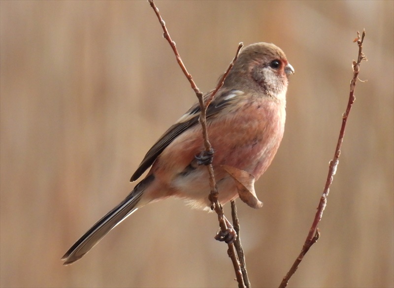 �x�j�}�V�R