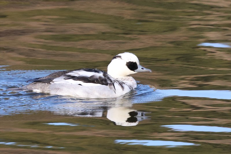 �~�R�A�C�T