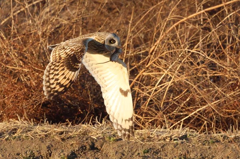 �R�~�~�Y�N