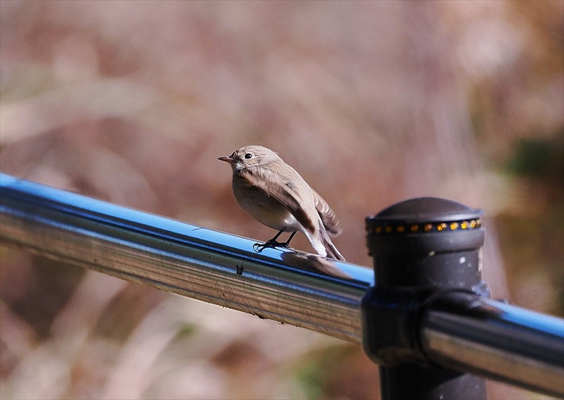 �j�V�I�W���r�^�L