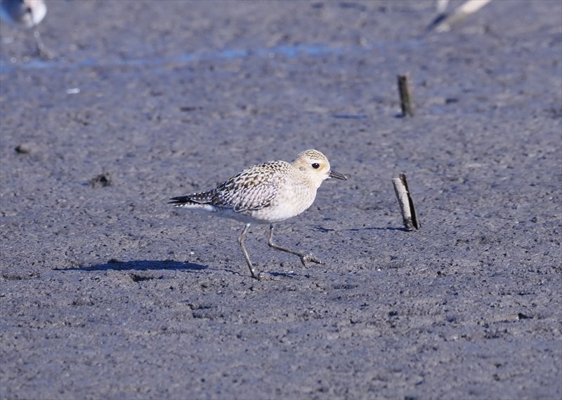 ���i�O��