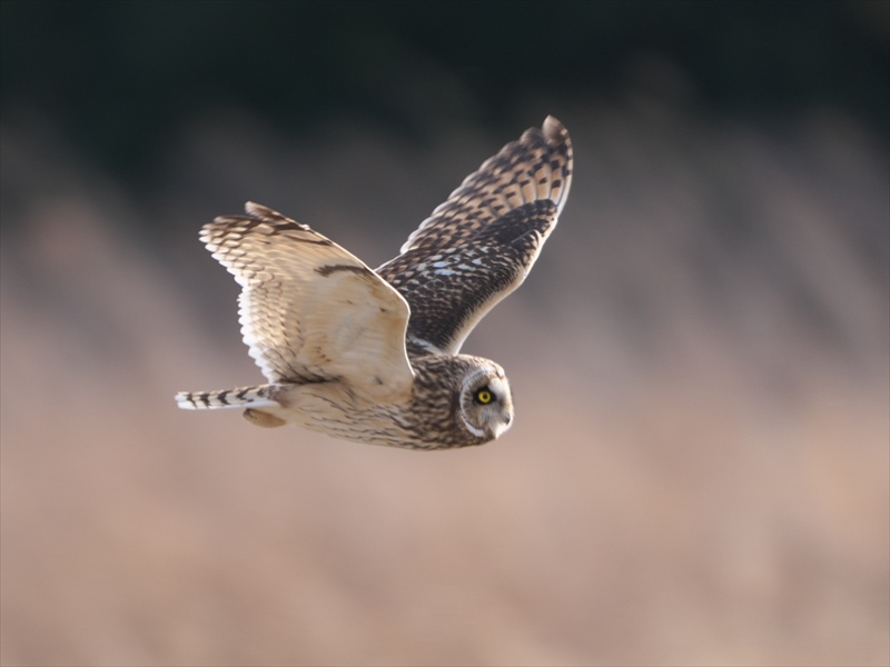 �R�~�~�Y�N