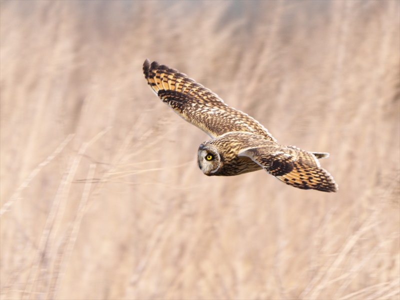 �R�~�~�Y�N