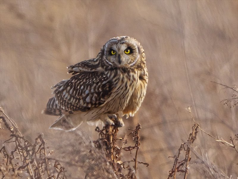 �R�~�~�Y�N