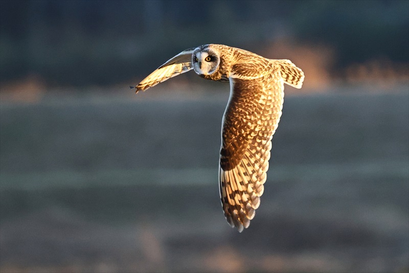 �R�~�~�Y�N