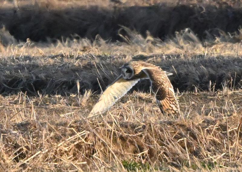 �R�~�~�Y�N