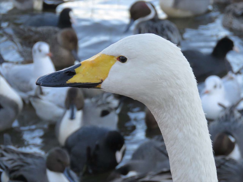 �I�I�n�N�`���E