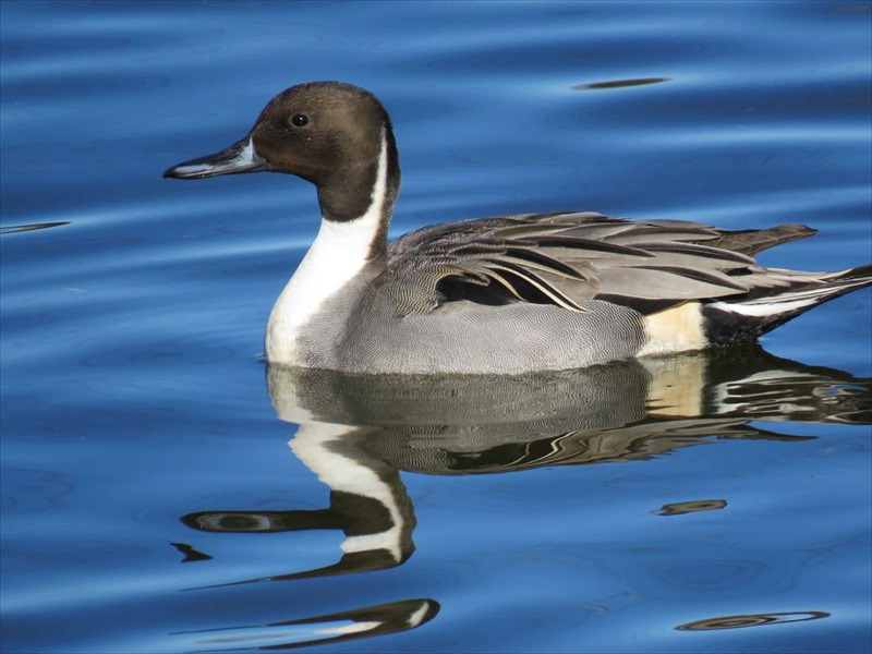 �I�i�K�K��