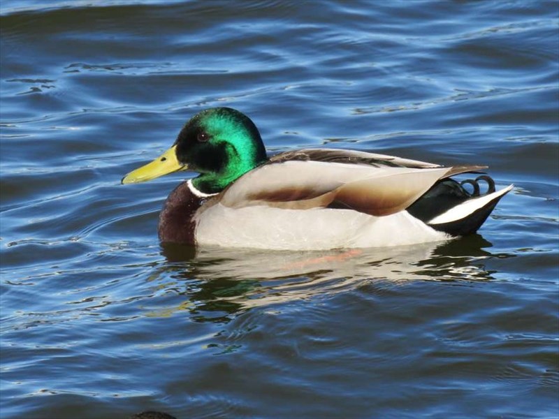 �\���F�P���}�K��