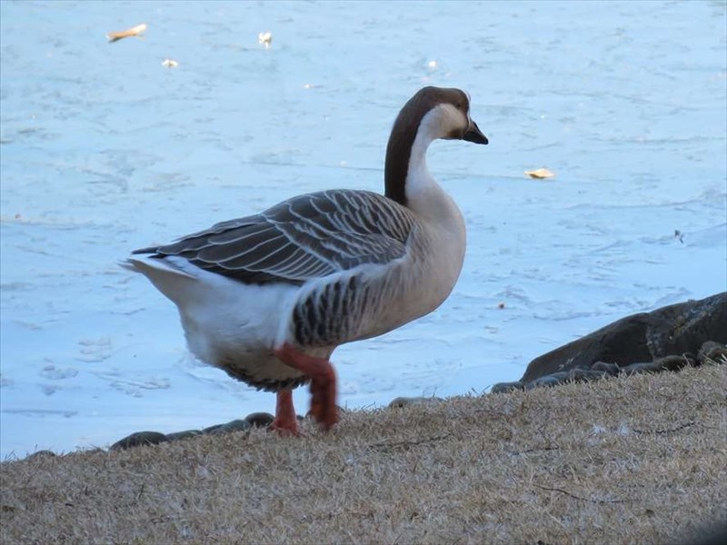 �V�i�K�`���E