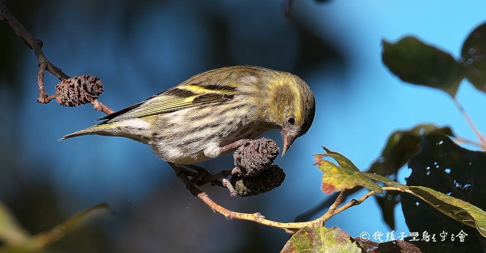 ������e�ʐ^