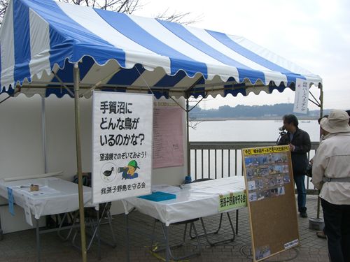 湖畔
