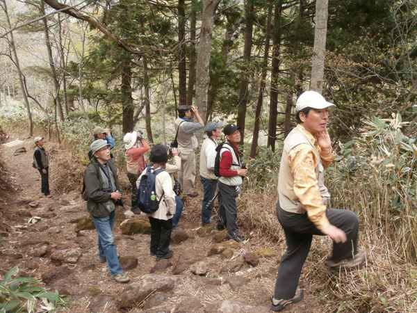 刈込湖への登山道