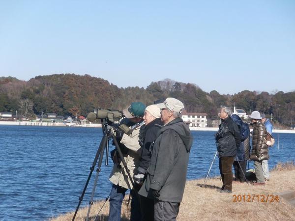 涸沼にて探鳥風景