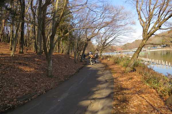 公園風景 1