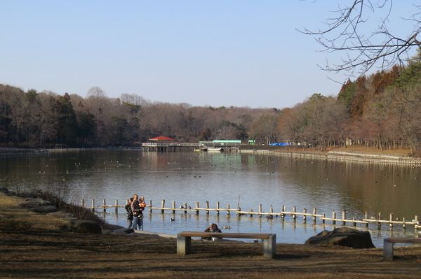 公園風景 2
