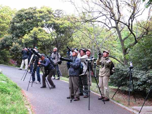 最後の鳥は?
