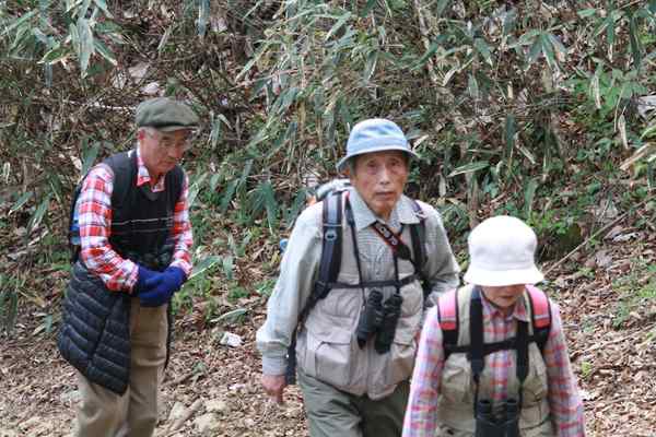 山頂をめざして