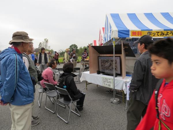 探鳥会で出会った鳥たちの映像コーナー
