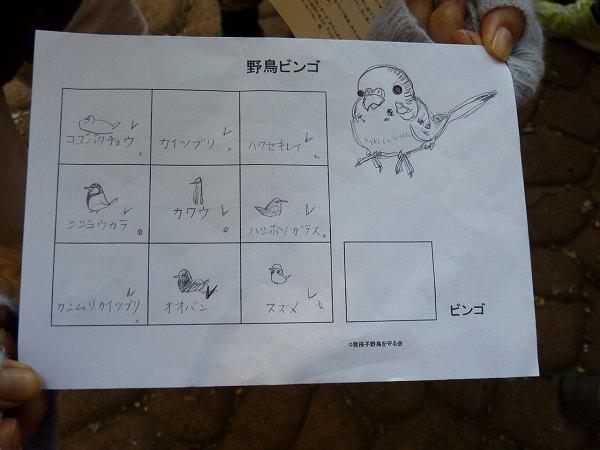成田はるかさんの野鳥ビンゴ