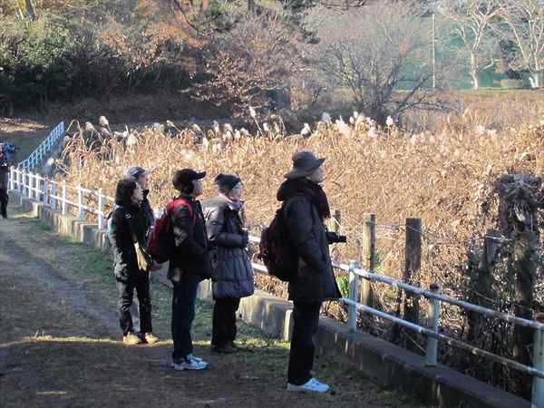 岡発戸 探鳥