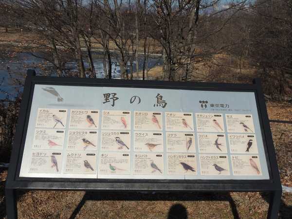 東電佐久調整池にて