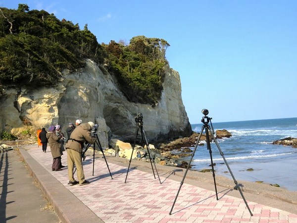 風光明媚な高戸小浜