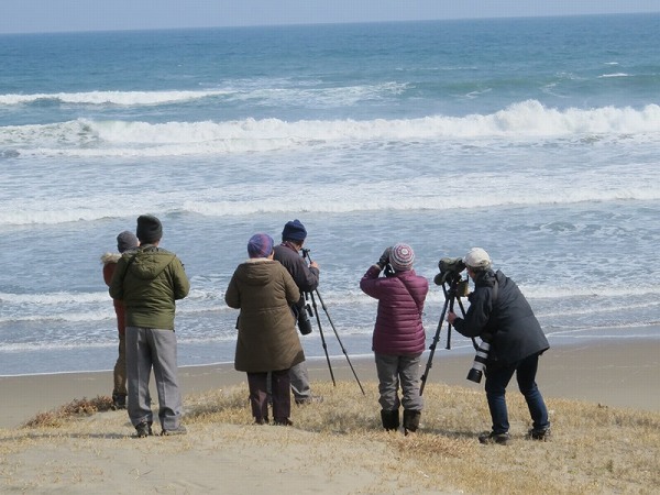 鹿島灘で