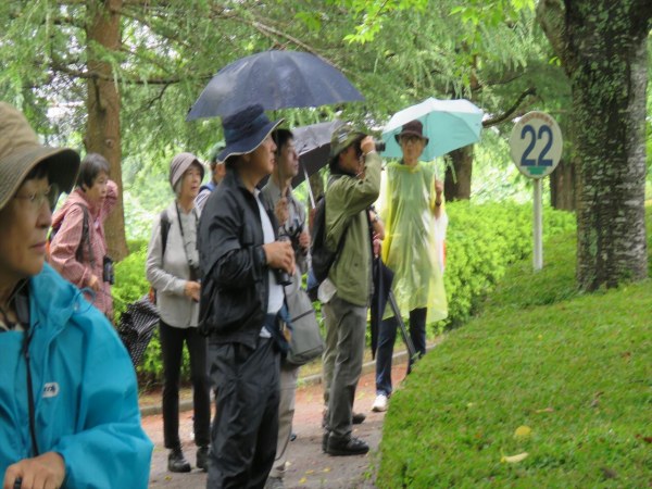 雨中の風土記の丘探鳥