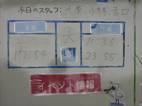 大潮・干潮・絶好の探鳥日和