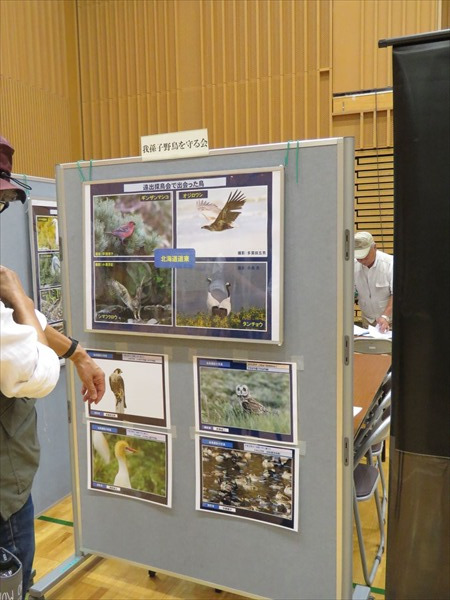 会員の野鳥写真を展示しました