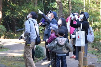 鳥合わせ